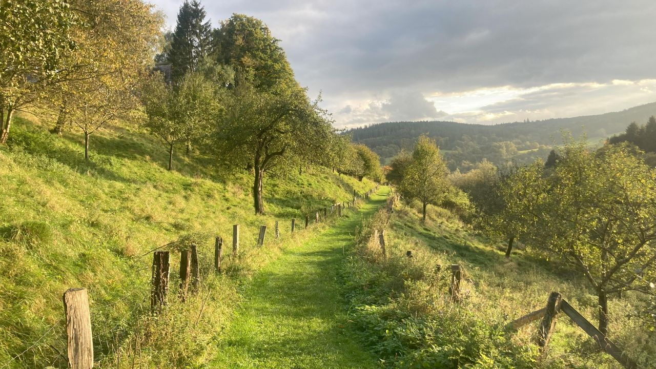 IMG_Kronenburg IMG_Kronenburg